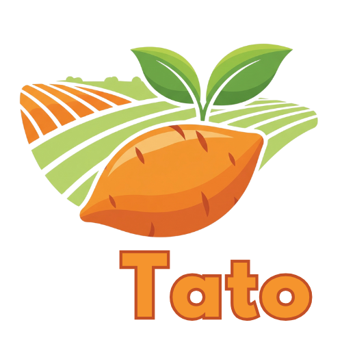 Tato Logo